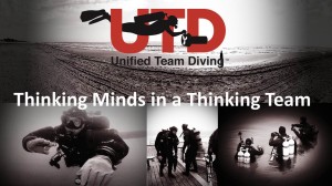 thinking minds in a thinking team